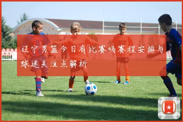 辽宁男篮今日有比赛吗赛程安排与球迷关注点解析