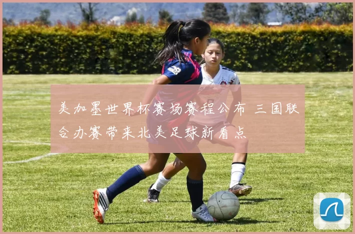 美加墨世界杯赛场赛程公布 三国联合办赛带来北美足球新看点