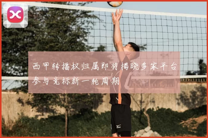 西甲转播权归属即将揭晓多家平台参与竞标新一轮周期