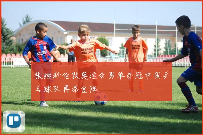 张继科伦敦奥运会男单夺冠中国乒乓球队再添金牌