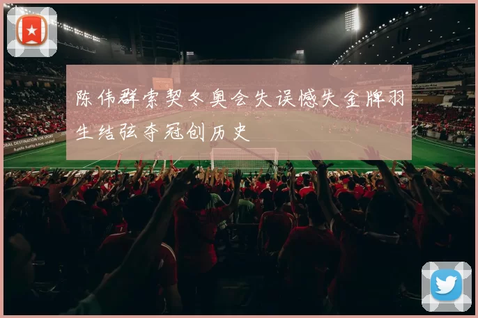 陈伟群索契冬奥会失误憾失金牌羽生结弦夺冠创历史